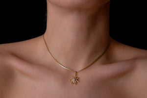 piscis sun choker