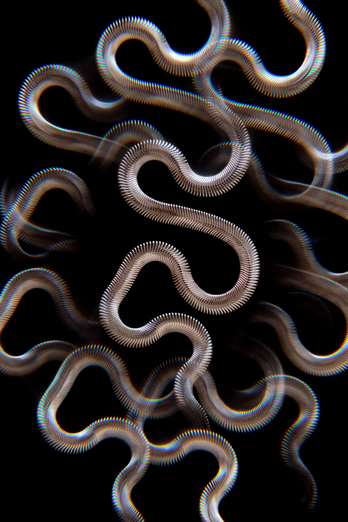Snake silver chain