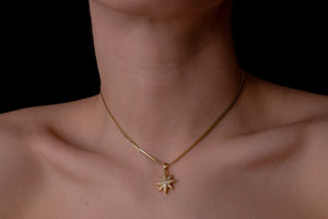 Star choker