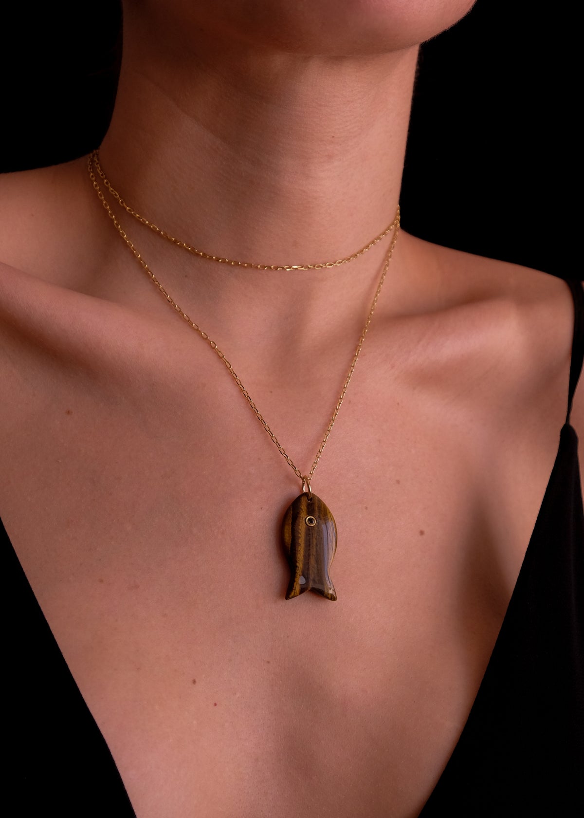 Tiger Eye Fish