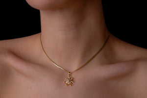 piscis sun choker