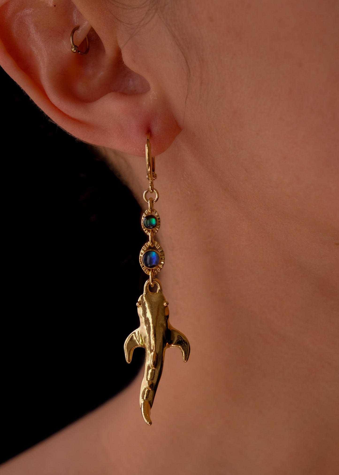 Ocean Guardian Earrings