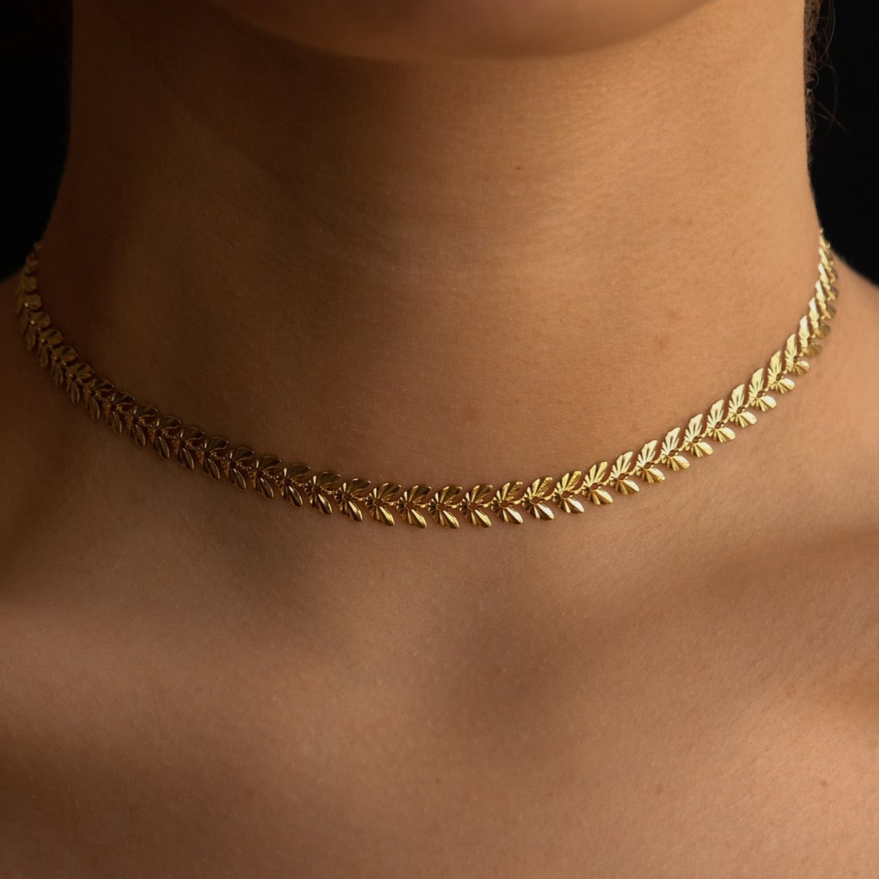 venus destello choker